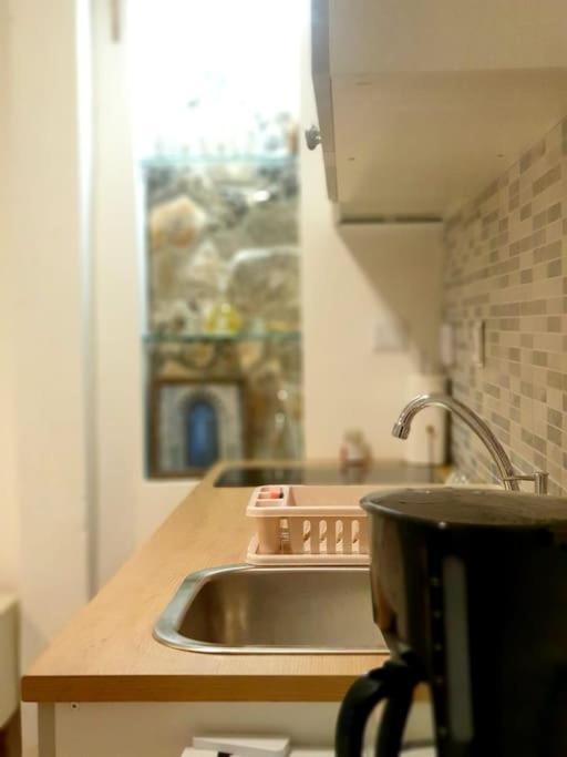 Studio Apartman Barbeta Grebaštica 외부 사진